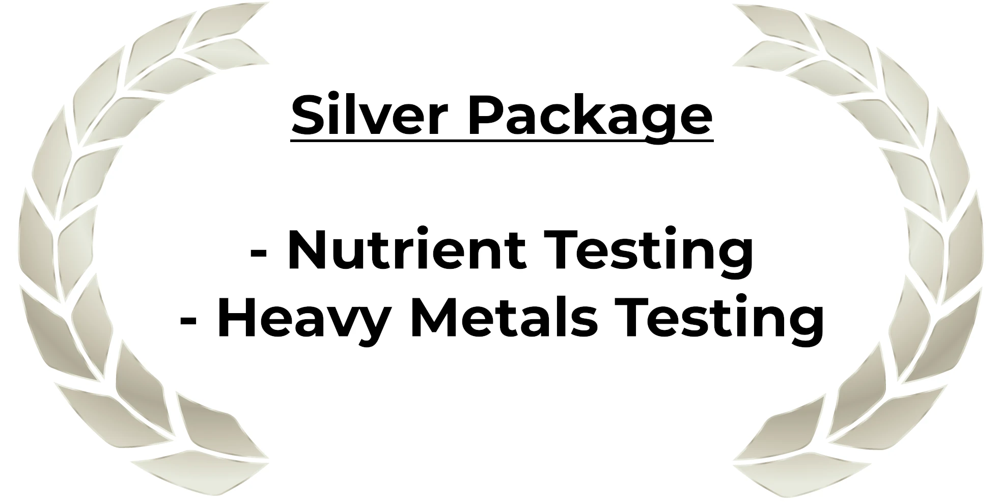 Silver Package